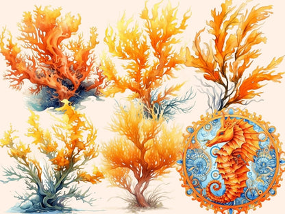 Orange Seahorses Watercolor Clipart nautical nursery - Wonders Artist
