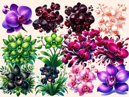Orchids Clipart beautiful orchids - Wonders Artist