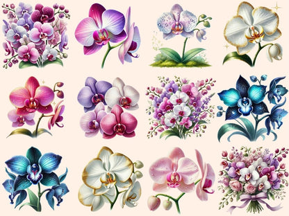 Orchids (P2) Clipart Botanical Orchids - Wonders Artist
