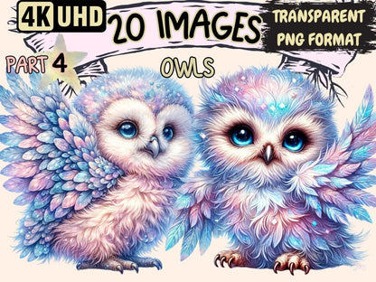 Owls (P4) Clipart bird decor - Wonders Artist