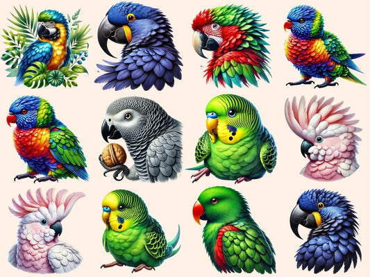 Klipart papoušci