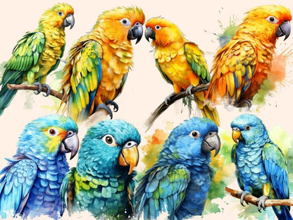 Parrots Watercolor Clipart birds clipart - Wonders Artist