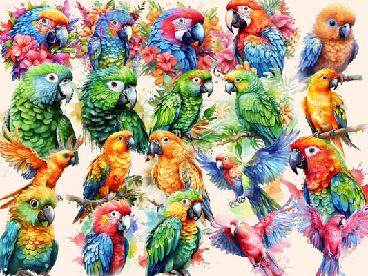 Parrots Watercolor Clipart