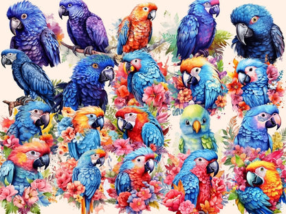 Parrots Watercolor Clipart birds clipart - Wonders Artist
