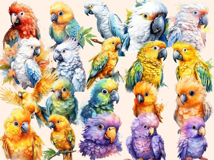 Parrots Watercolor Clipart birds clipart - Wonders Artist