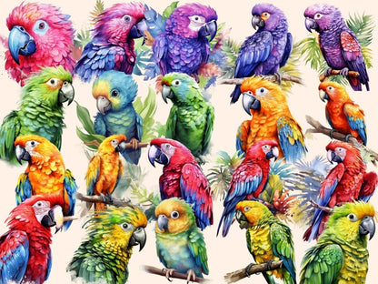 Parrots Watercolor Clipart birds clipart - Wonders Artist