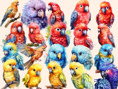 Parrots Watercolor Clipart birds clipart - Wonders Artist