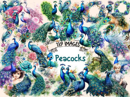 Peacocks Watercolor Clipart aquarelle clipart - Wonders Artist