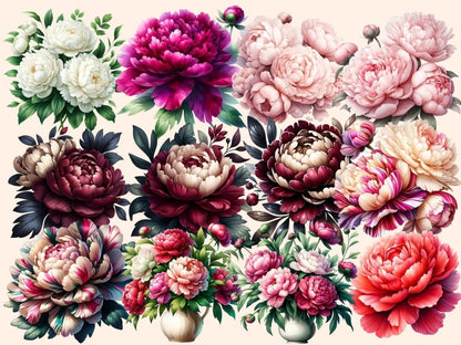 Peonies (P2) Clipart blooming peony clip - Wonders Artist