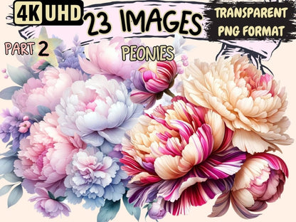 Peonies (P2) Clipart blooming peony clip - Wonders Artist