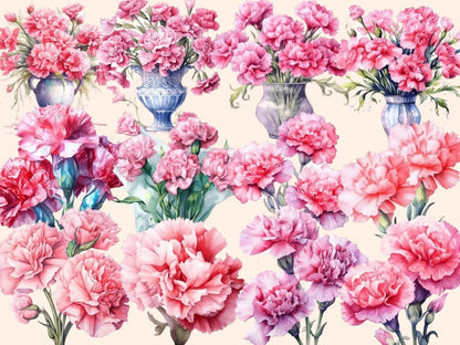 Pink Carnations Watercolor Clipart carnation bouquet - Wonders Artist
