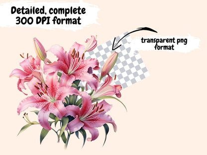 Pink Lilies Watercolor Clipart boho watercolor - Wonders Artist