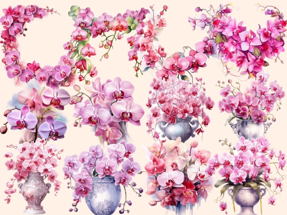 Pink Orchids Watercolor Clipart fantasy flowers - Wonders Artist