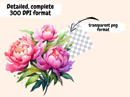 Pink Peonies Watercolor Clipart floral clipart - Wonders Artist