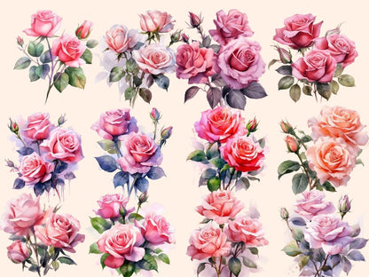 Pink Roses Watercolor Clipart boho rose clipart - Wonders Artist
