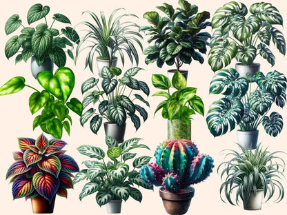 Plants Clipart floral clipart - Wonders Artist