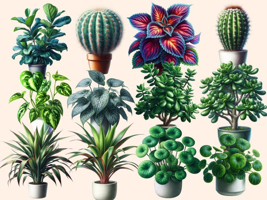Planter Clipart