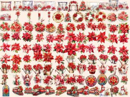 Poinsettias Watercolor Clipart christmas clipart - Wonders Artist