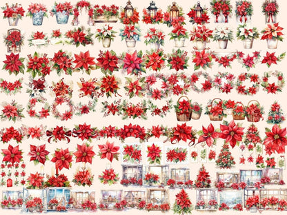 Poinsettias Watercolor Clipart christmas clipart - Wonders Artist