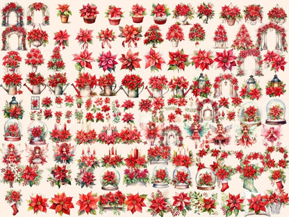 Poinsettias Watercolor Clipart christmas clipart - Wonders Artist