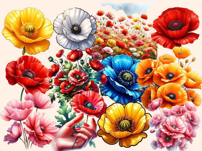 Poppies Clipart blooming poppy clip - Wonders Artist
