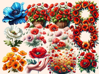 Poppies Clipart blooming poppy clip - Wonders Artist