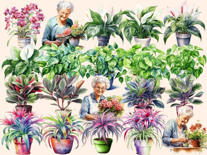 Potted Plants Watercolor Clipart floral clipart - Wonders Artist