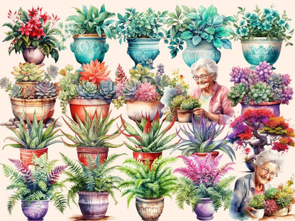 Potted Plants Watercolor Clipart floral clipart - Wonders Artist