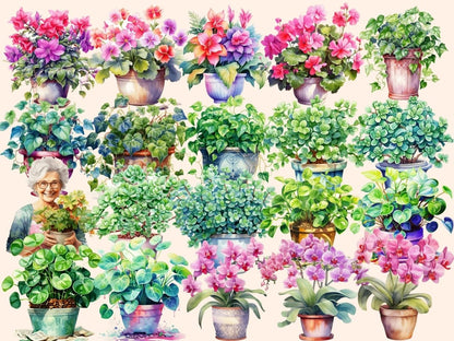 Potted Plants Watercolor Clipart floral clipart - Wonders Artist