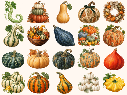 Pumpkins & Gourds Clipart — preview 3