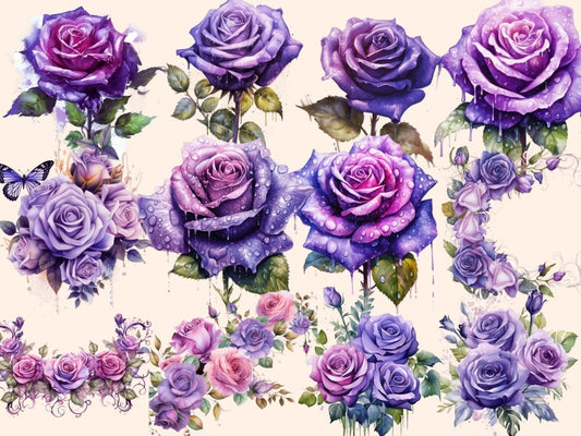 Violetit ruusut akvarellikuvitus