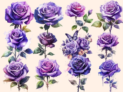 Purple Roses Watercolor Clipart boho watercolor - Wonders Artist