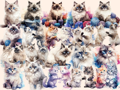 Ragdoll Cats Watercolor Clipart cat clipart - Wonders Artist