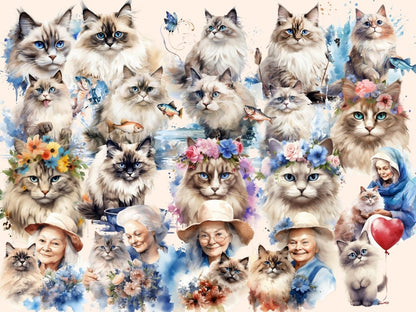 Ragdoll Cats Watercolor Clipart cat clipart - Wonders Artist