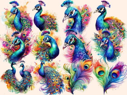 Rainbow Peacocks Watercolor Clipart colorful clipart - Wonders Artist