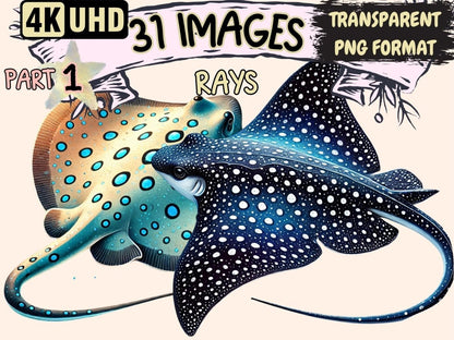 Rays Clipart Aquatic Animal Clip - Wonders Artist