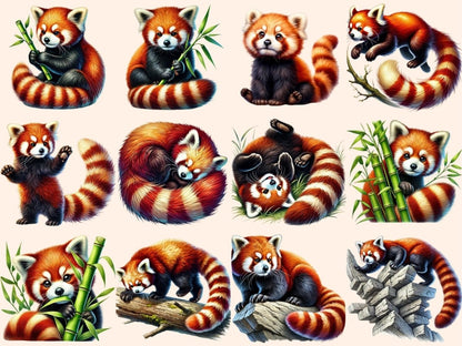 Red Pandas Clipart adorable panda art - Wonders Artist
