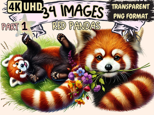 Red Pandas Clipart - High - Quality Instant Digital Download for Creative Projects