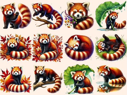Red Pandas Clipart adorable panda art - Wonders Artist