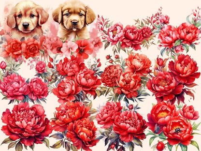 Red Peonies Watercolor Clipart boho peony - Wonders Artist