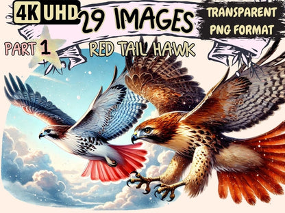 Red - Tailed Hawk Clipart bird design - Wonders Artist