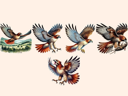 Red - Tailed Hawk Clipart bird design - Wonders Artist