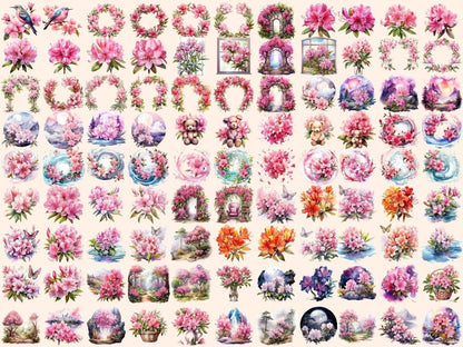 Rhododendron Flowers Watercolor Clipart flowers clipart - Wonders Artist