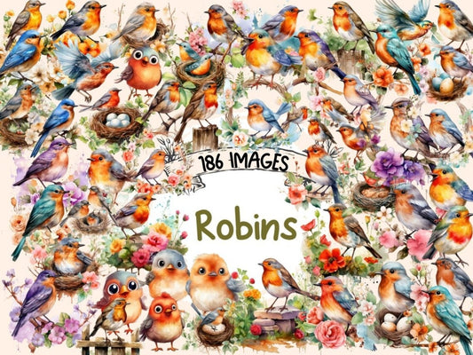 Robins Watercolor Clipart bird clipart - Wonders Artist