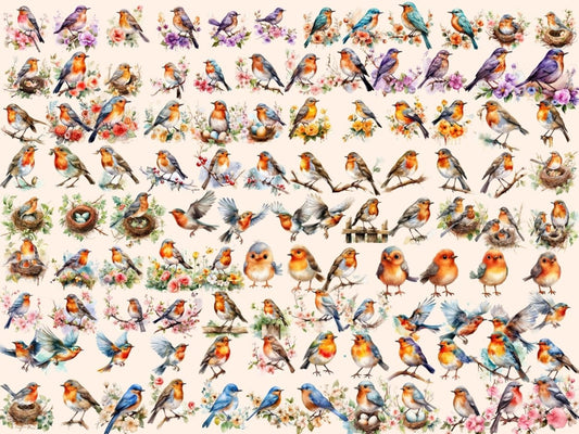 罗宾斯水彩剪贴画