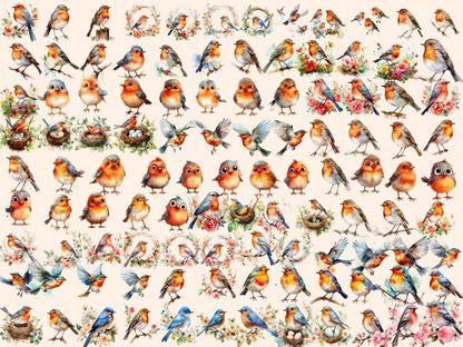 Robins Watercolor Clipart bird clipart - Wonders Artist