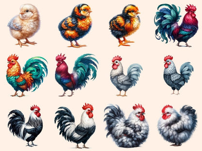 Roosters Clipart chicken clipart - Wonders Artist