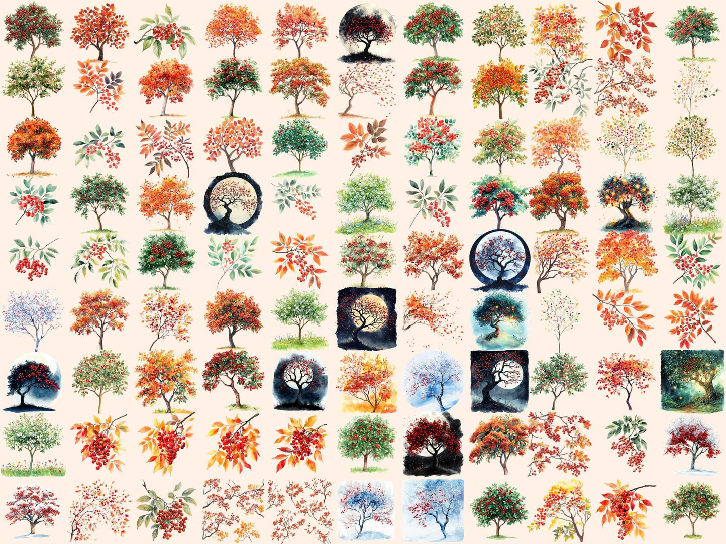 Rowan Trees Watercolor Clipart - High - Quality Instant Digital Download for Creative Projects