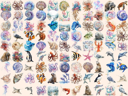 Sea Life Watercolor Clipart Aquatic Animals - Wonders Artist