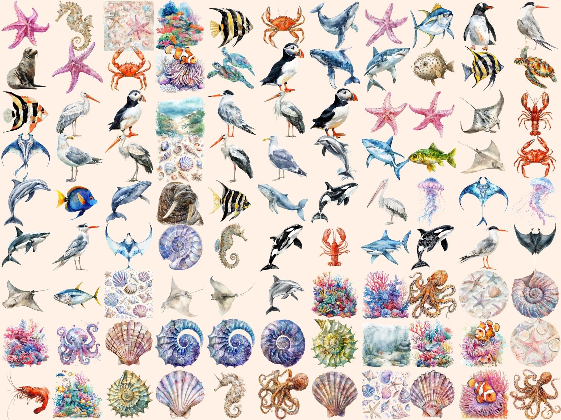 Sea Life Watercolor Clipart - High - Quality Instant Digital Download for Creative Projects